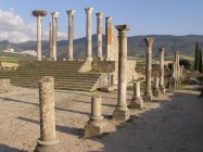 Volubilis - ozdobn sloupy z budovy kapitolu