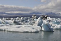 Jökulsárlon (3)