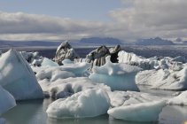 Jökulsárlon (4)