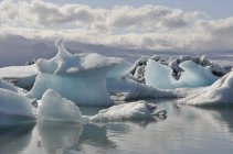Jökulsárlon (6)