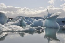 Jökulsárlon (7)
