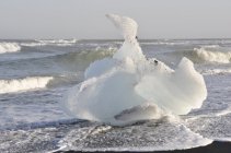 Ledová krása - Island (2)