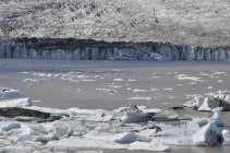 Vatnajökull - Island (1)