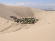 Huacachina - Peru (5)