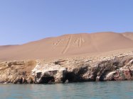 Paracas - Peru (2)