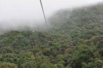 Canopy, NP Monte Verde - Kostarika (4)